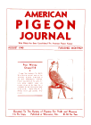 Magazine Cover